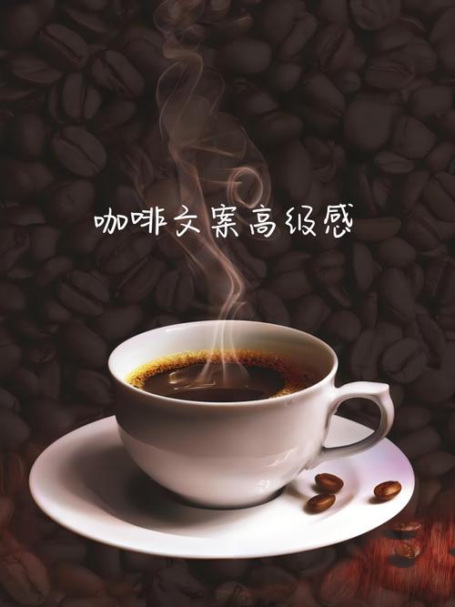 探索DW咖啡,品味生活，尽在这一杯香醇 探索DW咖啡,品味生活，尽在这一杯香醇 360搜优化