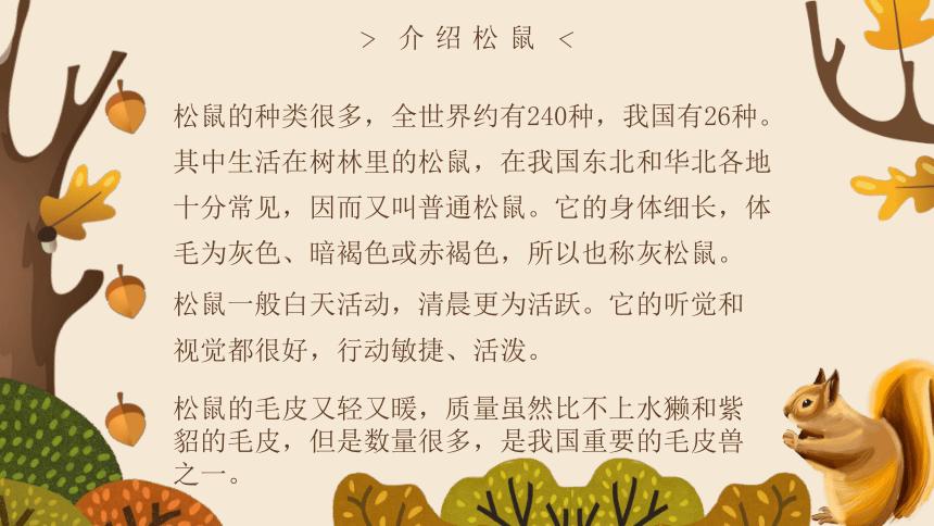 松鼠课件网站,打造高效教育平台，助力孩子成长 松鼠课件网站,打造高效教育平台，助力孩子成长 头条优化