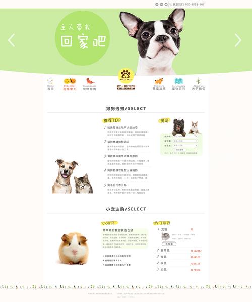 狗狗网站设计,打造宠物爱好者的线上乐园 狗狗网站设计,打造宠物爱好者的线上乐园 英文谷歌算法