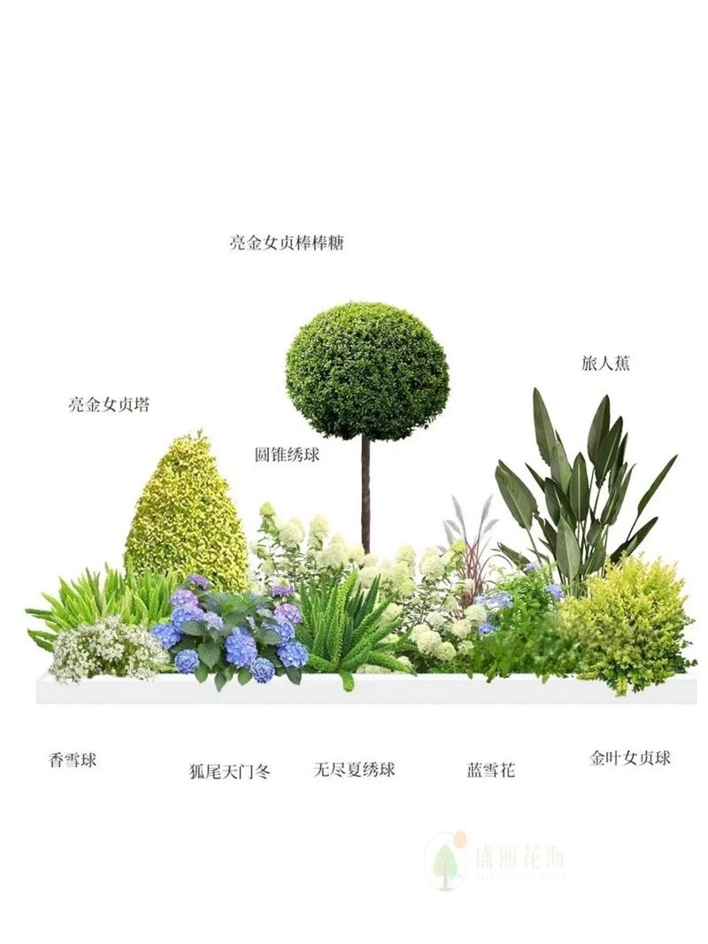 环境设计中植物配置的艺术与科学 环境设计中植物配置的艺术与科学 小程序开发