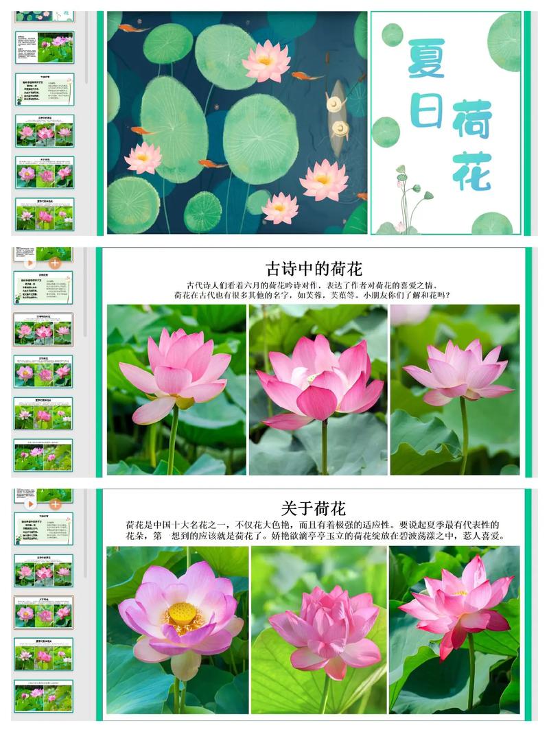 荷花课件网站,创新教学模式的引领者 荷花课件网站,创新教学模式的引领者 百度算法