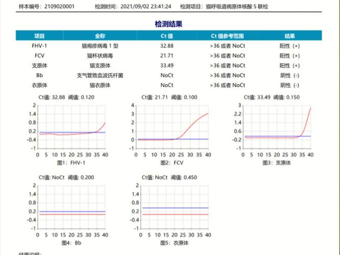 长春宠物网站,打造宠物生活的贴心助手，共创美好家园 长春宠物网站,打造宠物生活的贴心助手，共创美好家园 英文谷歌算法